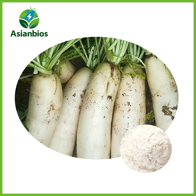 Radish Freeze-Dried Powder